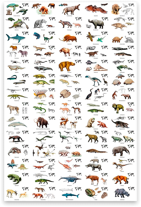 poster animales prehistoricos
