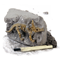 Paleontología experimental y kits de excavación